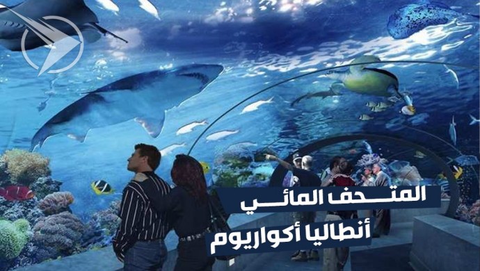 جولة اكواريوم انطاليا 🐟