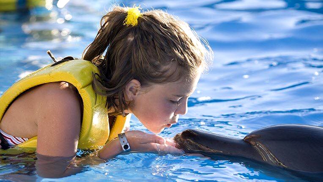 السباحة مع الدولفين - انطاليا